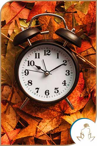 Business Hours at True Laser Spa in Saint Clair Shores, MI