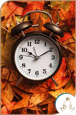 Business Hours at True Laser Spa in Saint Clair Shores, MI