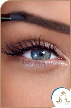Eyebrow and Eyelash Tinting in Saint Clair Shores, MI