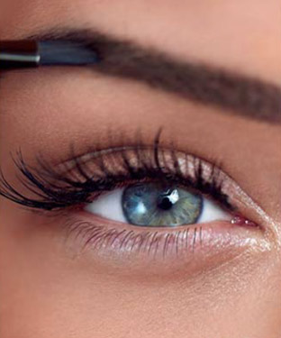 Eyebrow and Eyelash Tinting in Saint Clair Shores, MI